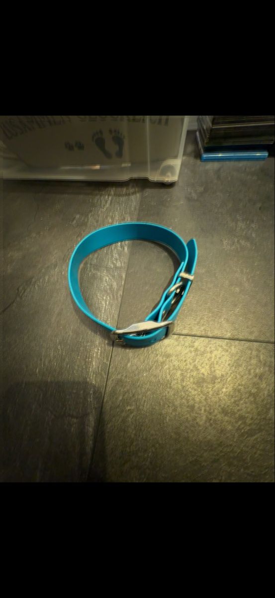 Guinzagli & Collari: Hundehalsband Blau – Usato da Niederglatt ZH venduto da vul_v86c 1