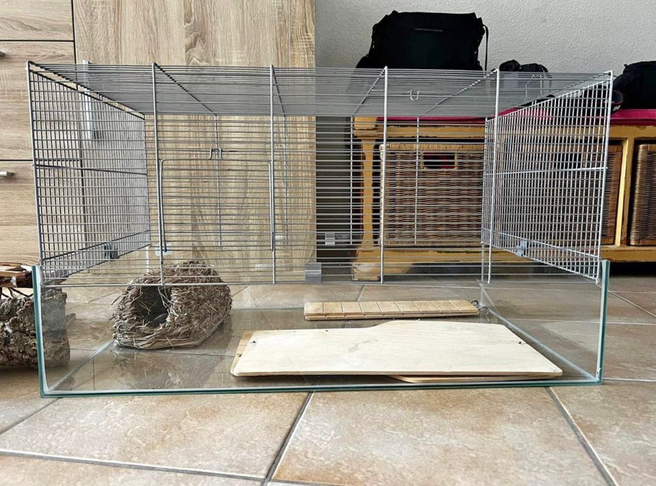 Gabbie, trasporto & Sicurezza: 🐹  Kit complet pour hamster - Complete Hamster Kit/Bundle – Usato da Lausanne venduto da Angod23