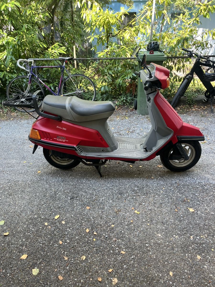 Yamaha Scooter: Yamaha Beluga XC125 4-Takt – Usato da Bern venduto da eli_r2rq 2