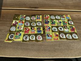 Panini Wm 2026 über 150 Sticker 