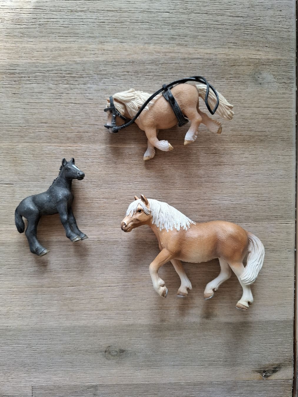 Schleich Statuette: Schleich -Pferde – Nuovo (secondo la descrizione) da Luzern venduto da naira1213