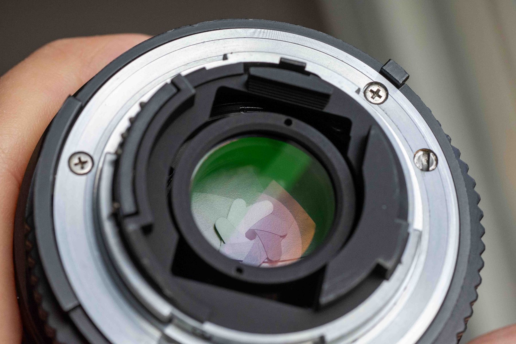 Nikkor Obiettivi: Nikon AF-Micro Nikkor 55mm f2.8 – Usato da Schwerzenbach venduto da floridan 7