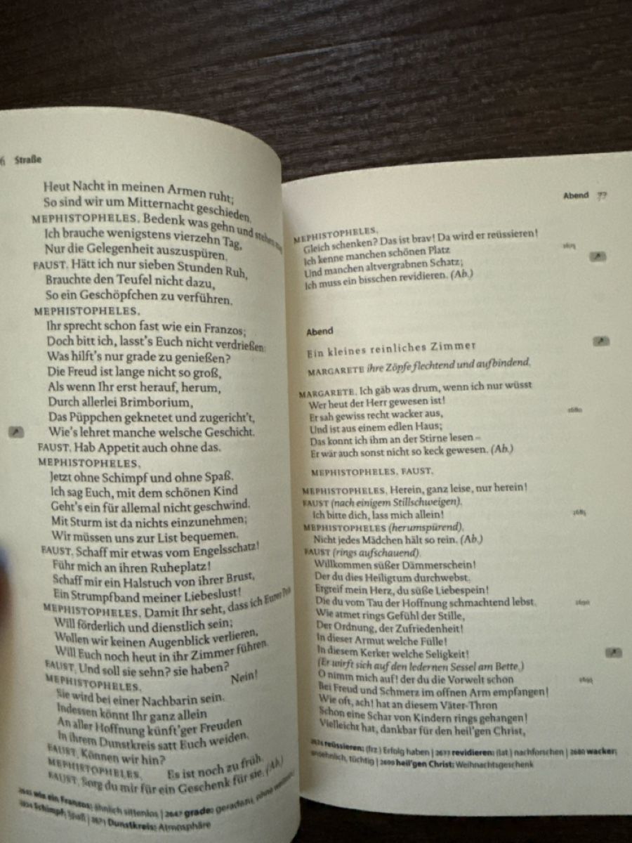 Libri: Goethe Faust I, Reclam XL – Usato da Gränichen venduto da cat_lady 2