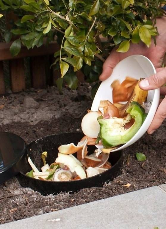 Bücher: Petit  compost à enterrer  – Neu und originalverpackt aus St-Blaise von DADADA1986 1