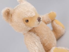 Steiff Teddybär - Mohair - Vintage Sammlerartikel Plüschtier