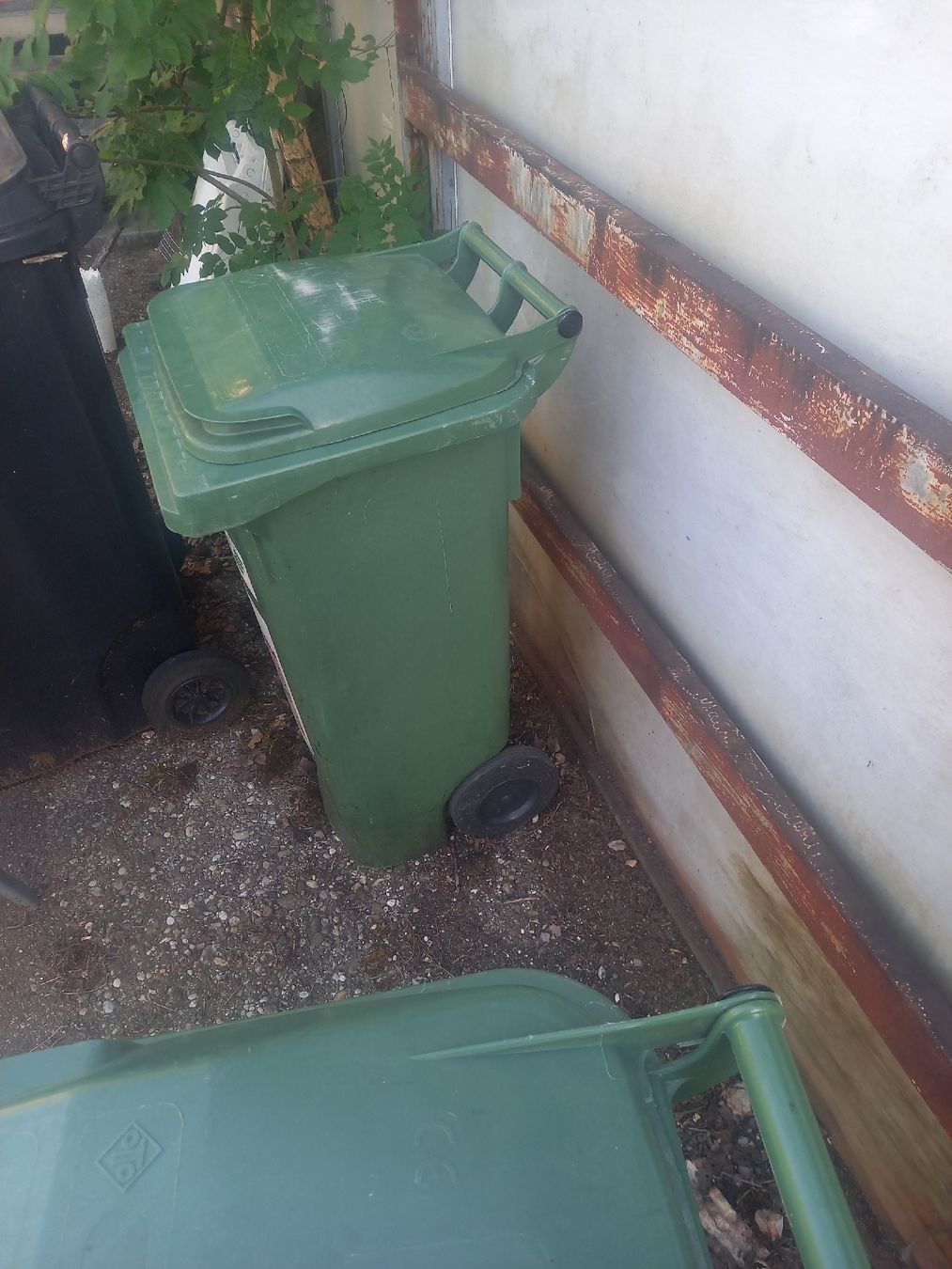 Banconi: Grüncontainer 120 Liter – Usato da NIEDERBUCHSITEN venduto da jut_lpv5 2