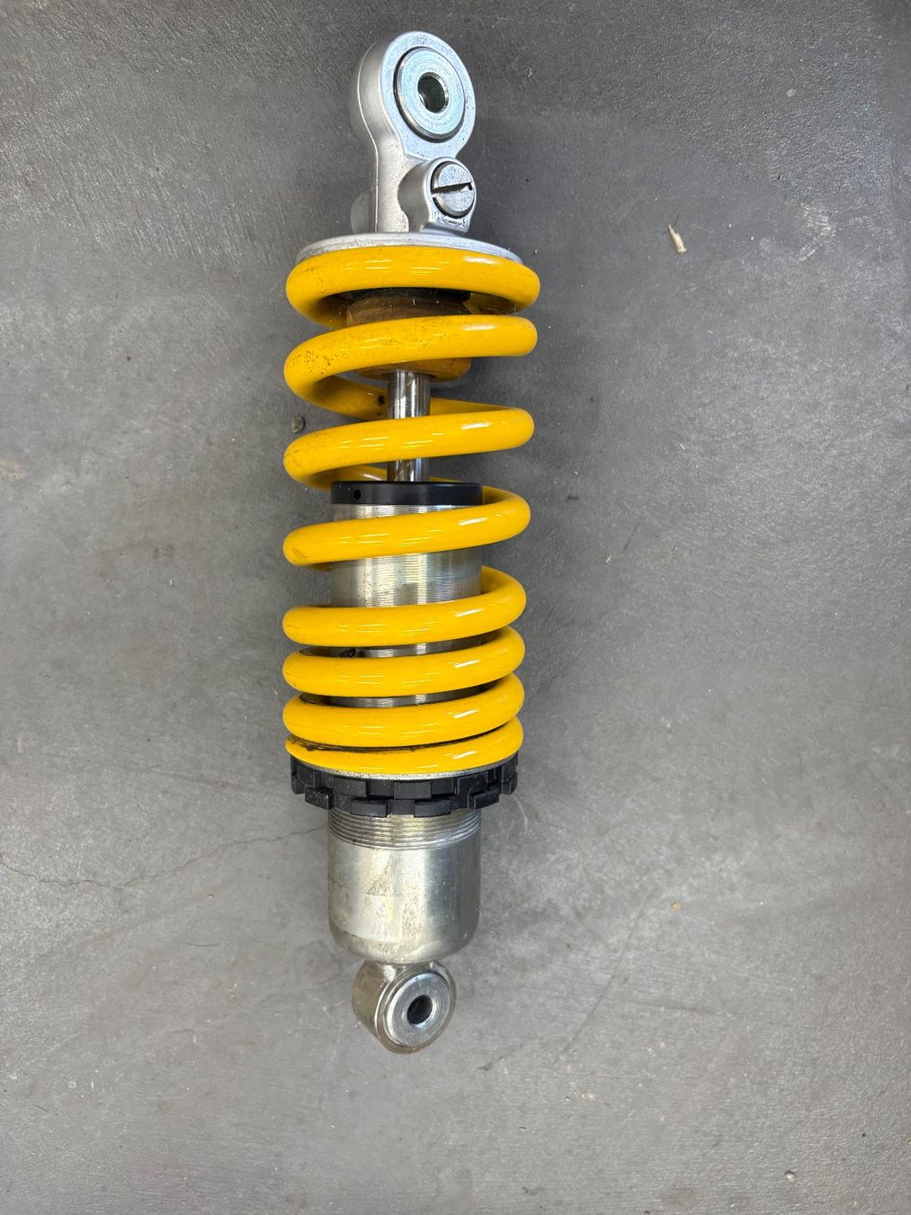 Il mondo degli animali: Federbein Ducati Monster 796 ABS – Usato da Neftenbach venduto da Vespa796 1