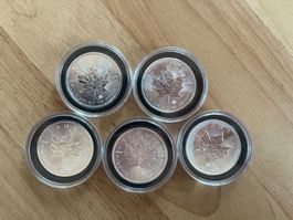 5 Canadian Maple Leaf Silbermünzen 2016 – 1 oz Feinsilber