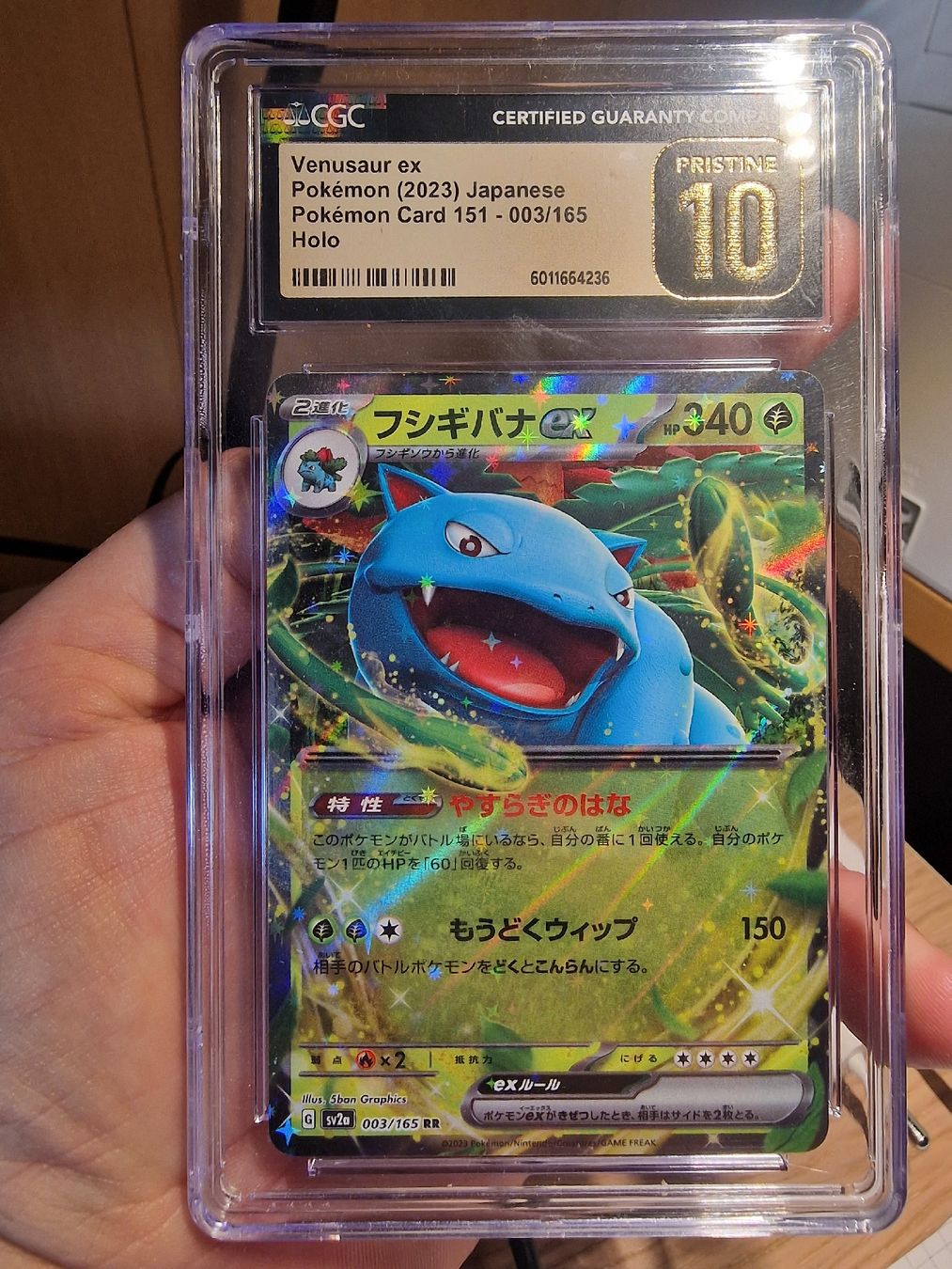 Pokémon Carte collezionabili: 3 Pokemon Karten PSA 10 – Nuovo (secondo la descrizione) da Lyssach venduto da NHLFanshop 1