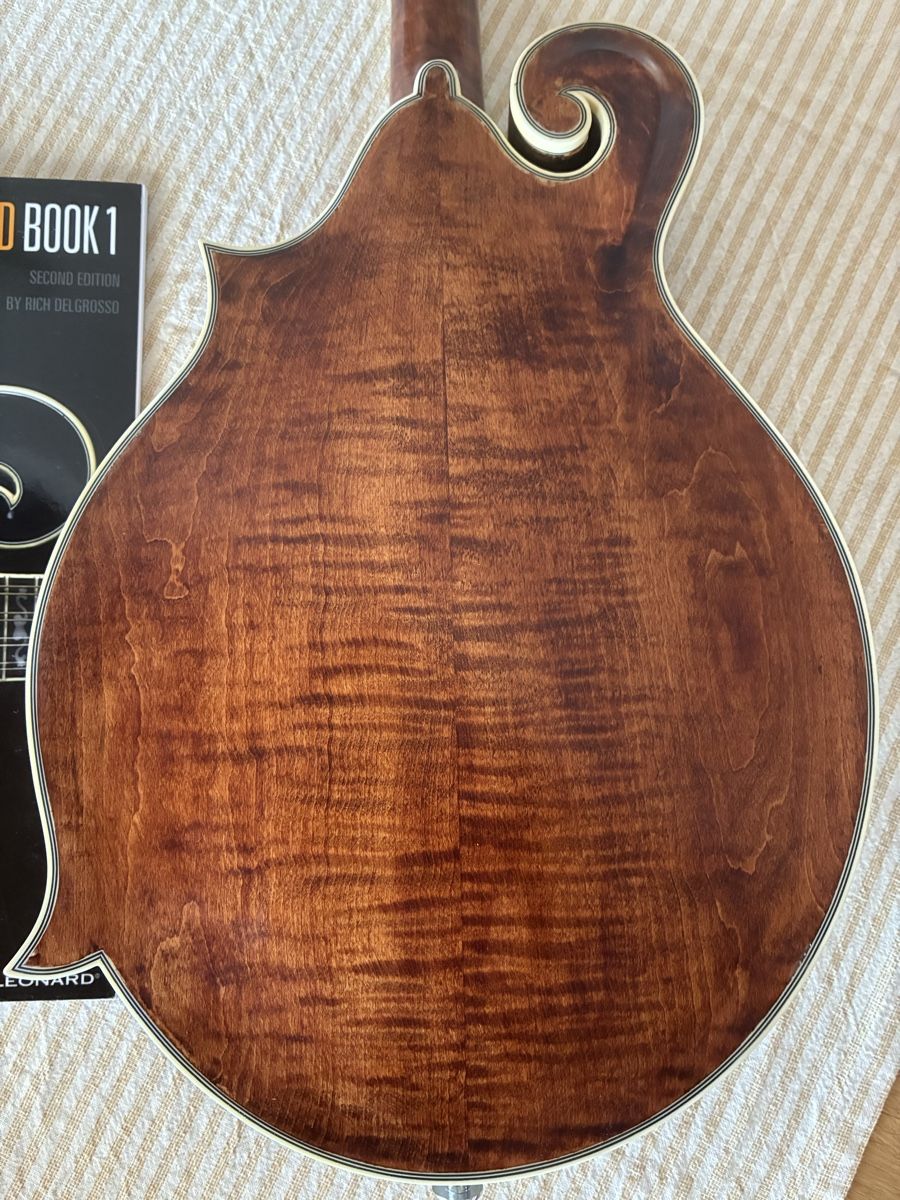Strumenti musicali: F-Style Mandoline, Richwood, Vollmassiv – Usato da Winterthur venduto da Gerrardo 3