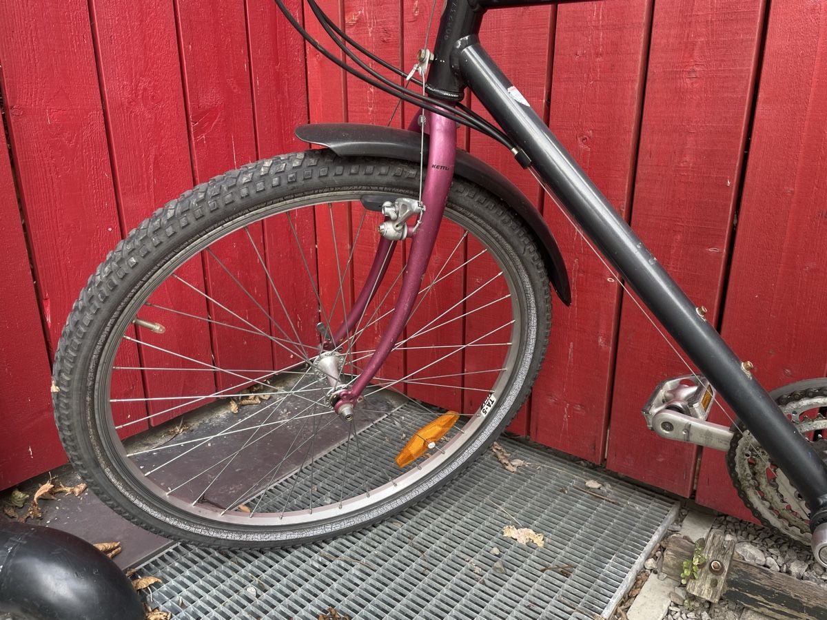 Velos: Velo – Gebraucht aus Spiez von lukullisch 1
