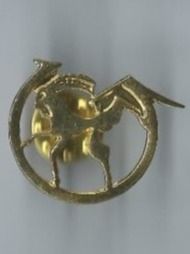 Placchette & Badge: Steinbock PIN – Usato da Zürich venduto da t24_de