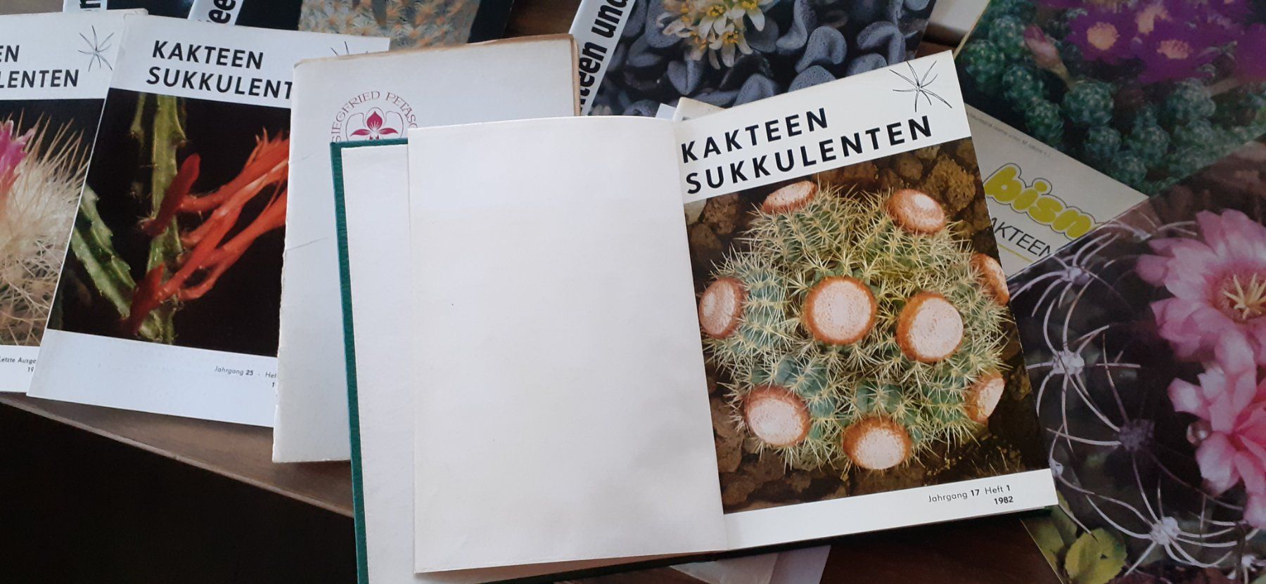 Bücher: Sammlung ca. 300 Kakteenbücher – Gebraucht aus Mörschwil von aik_x8mc 3