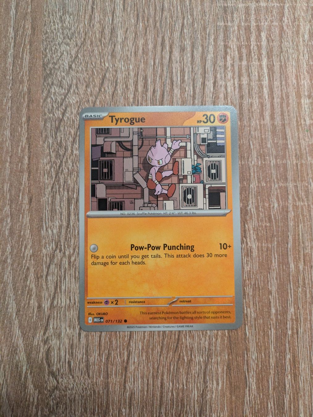 Pokémon Carte collezionabili: TYROGUE, MEGA EVOLUTION, MEG71, 2025, COM, ENG, NM / MT – Usato da Losone venduto da AlpineLayer