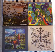 Vinly Steve Hillage und Caligula's Horse