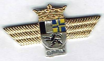 Placchette & Badge: BPBV Graubünden – Usato da Hinterkappelen venduto da Schampus