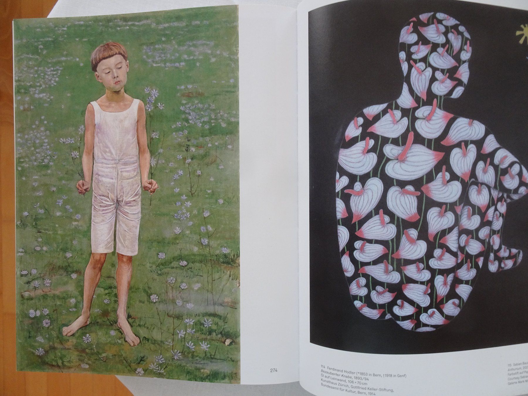 Libri: Hodler - Aktuelle Blicke auf eine Ikone – Usato da männedorf venduto da purzelchen 9