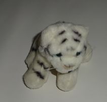 weisser Tiger von Semo mit blauen Augen