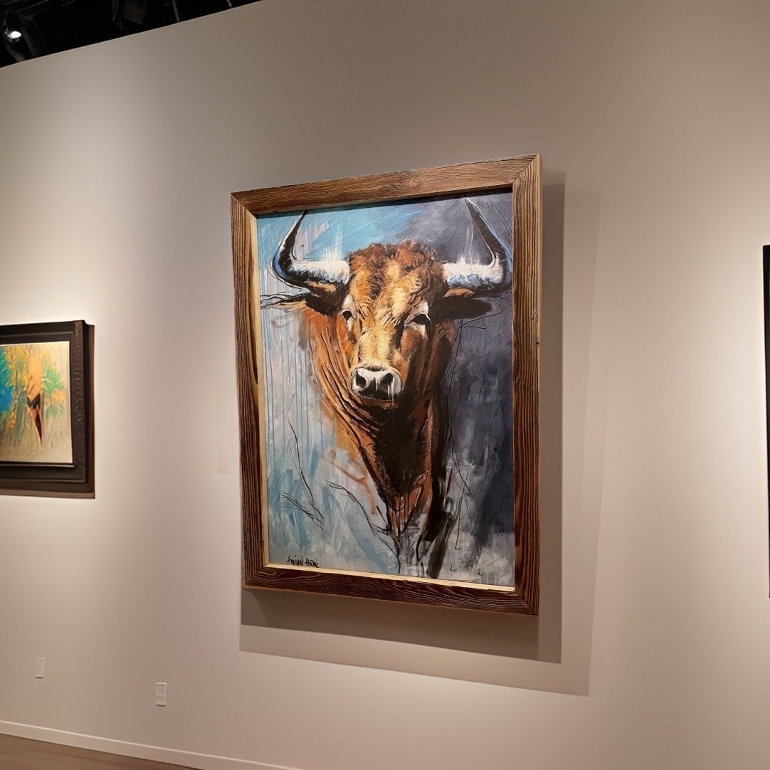 Foto & Immagini: Bild Stier Kunstdruck auf Leinwand, Holzrahmen – Usato da Brunnen venduto da Holz-style 1