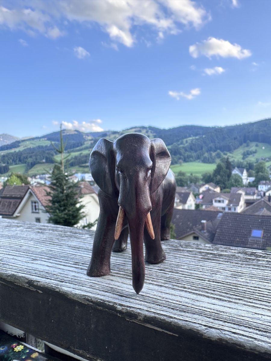 Statuette: Elefant dunkles Holz – Usato da Ebnat-Kappel venduto da ladina83 2