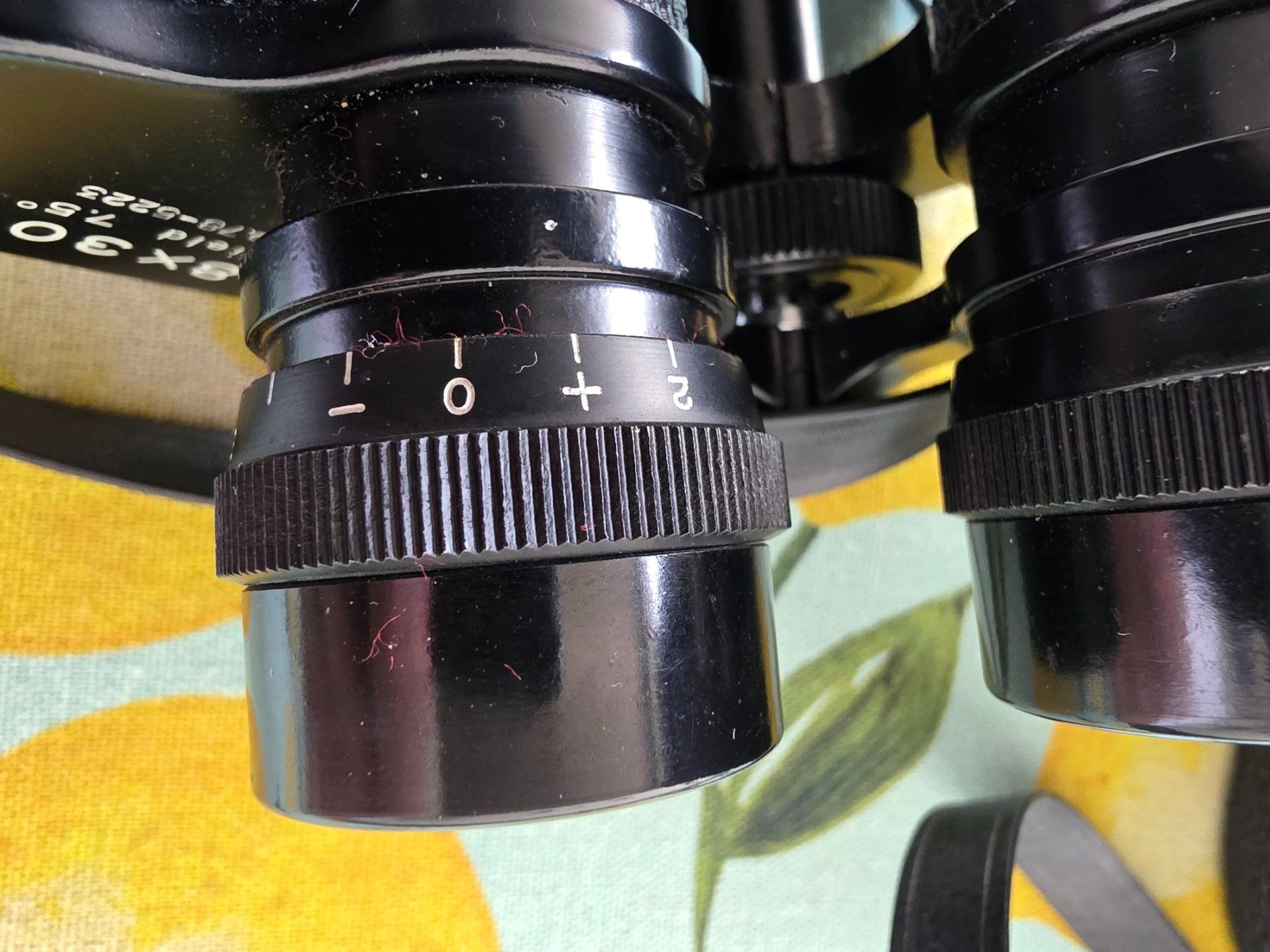 Champion Binocoli: Fernglas Champion 8x30 mit Etui – Usato da Winterthur venduto da Marcello66 1