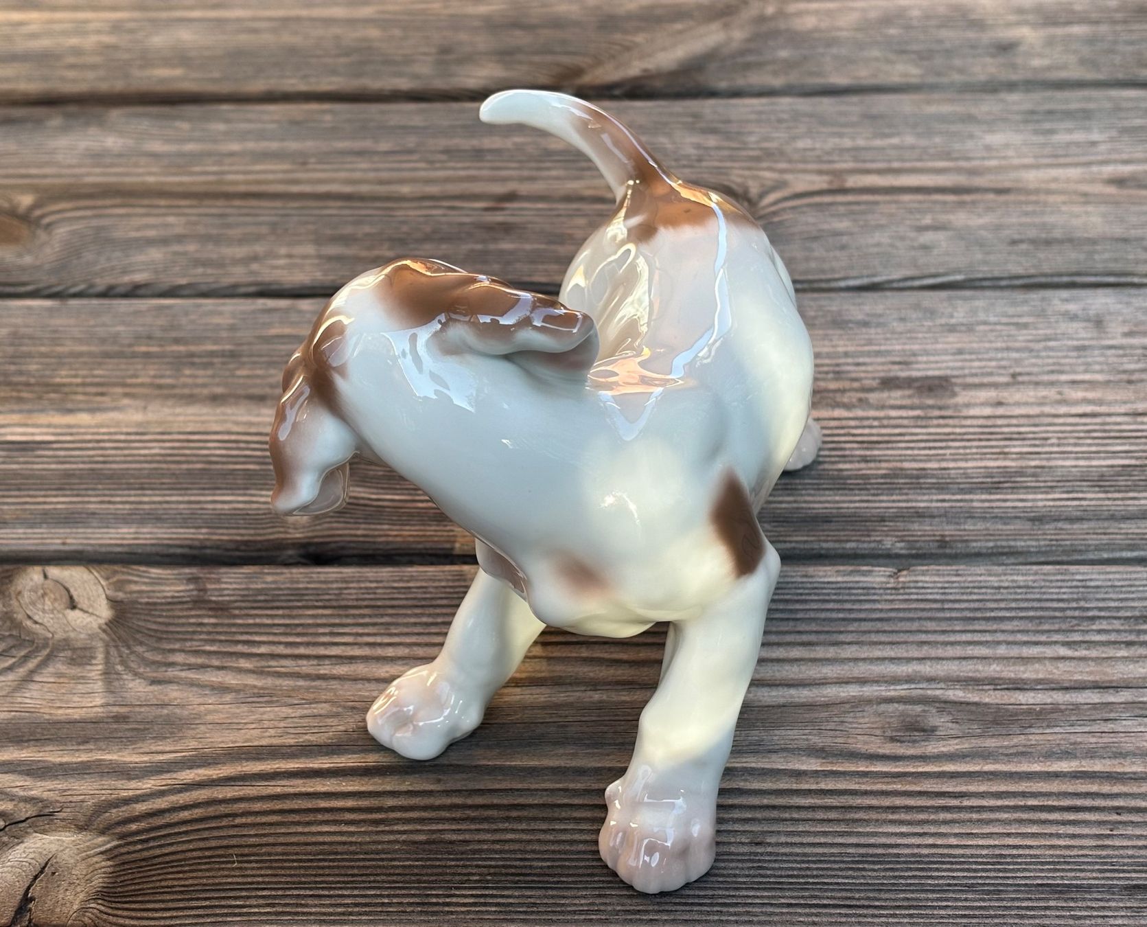 Bing & Grøndahl Statuette: Porzellanfigur Pointer Welpe Bing & Gröndahl – Usato da Lüchingen venduto da Eeizo 2