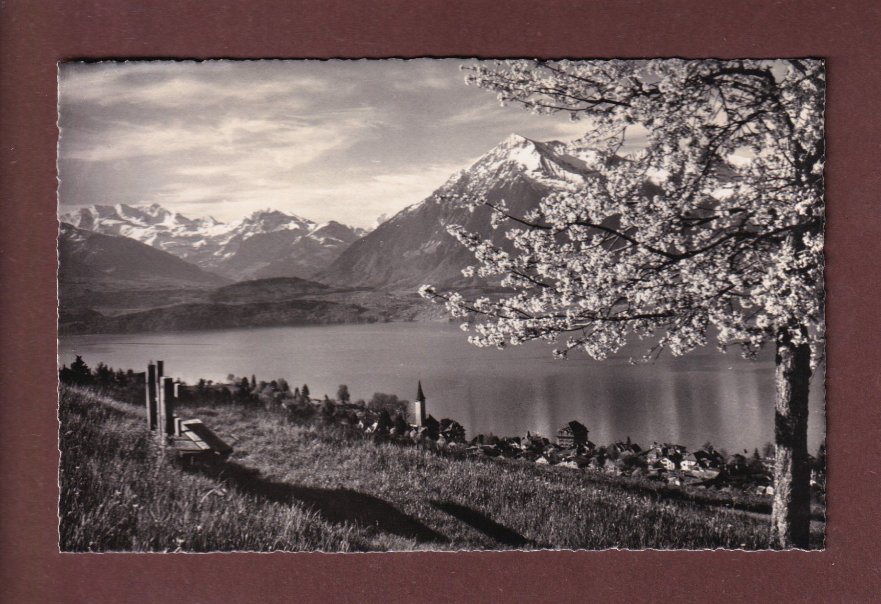Cartes postales: HILTERFINGEN - 1953 – D'occasion à Pully par nicecards-shop