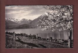 HILTERFINGEN - 1953