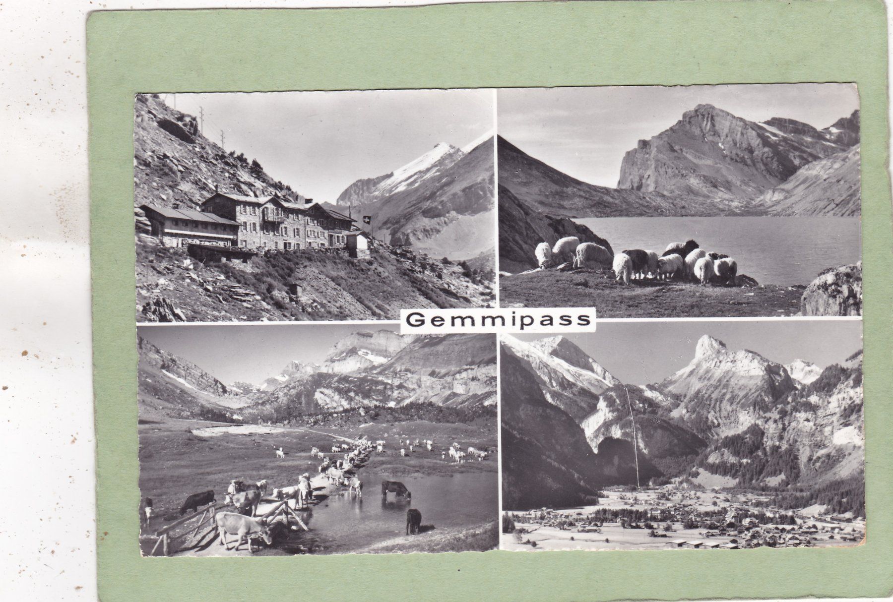 Cartoline postali: Gemmipass – Usato da Herisau venduto da Lisegrat2008