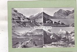 Gemmipass