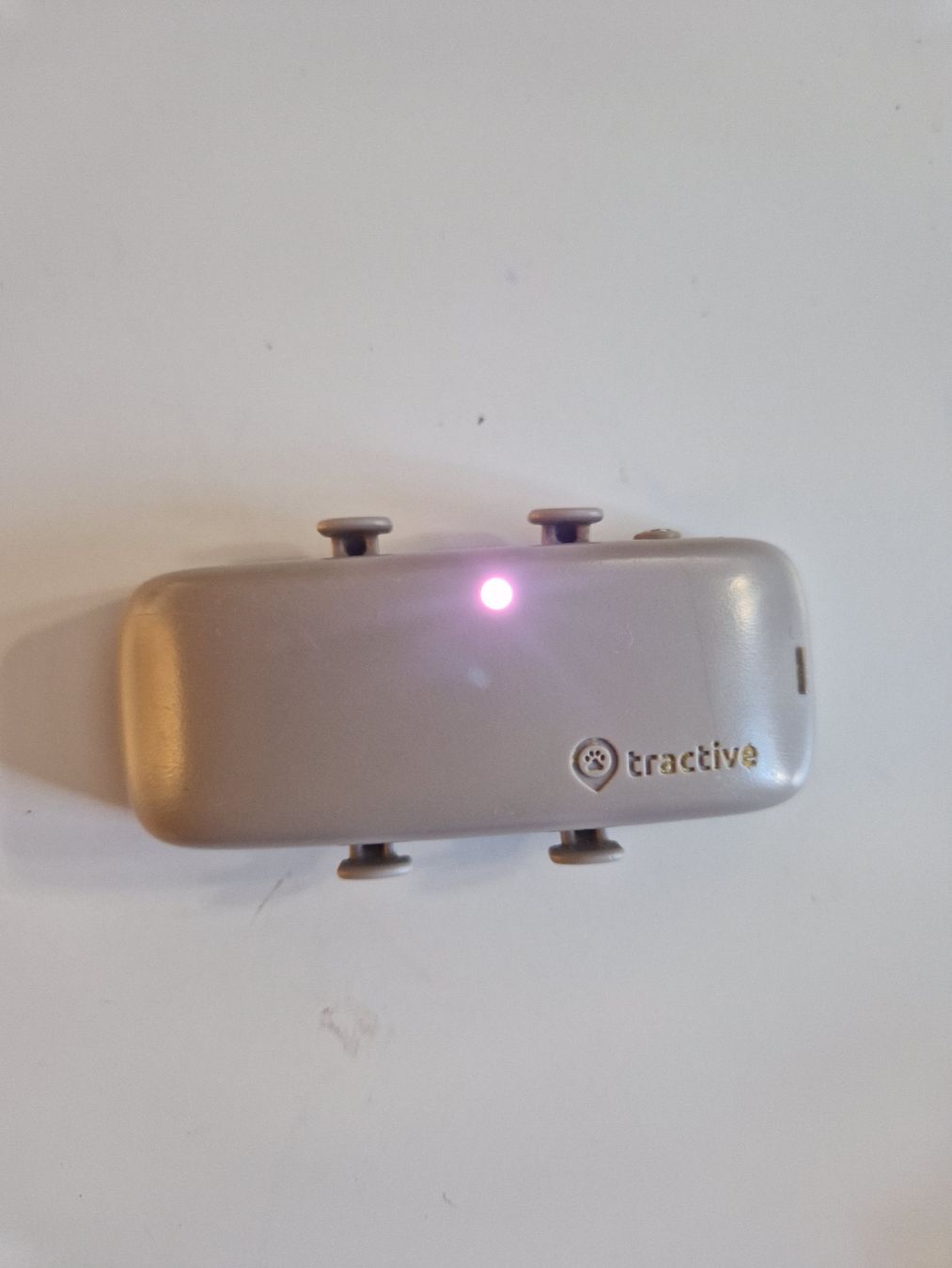 Altro in Accessori per animali: Traceur GPS pour animaux Tractive – Usato da Bern venduto da MelleBeauregard 1