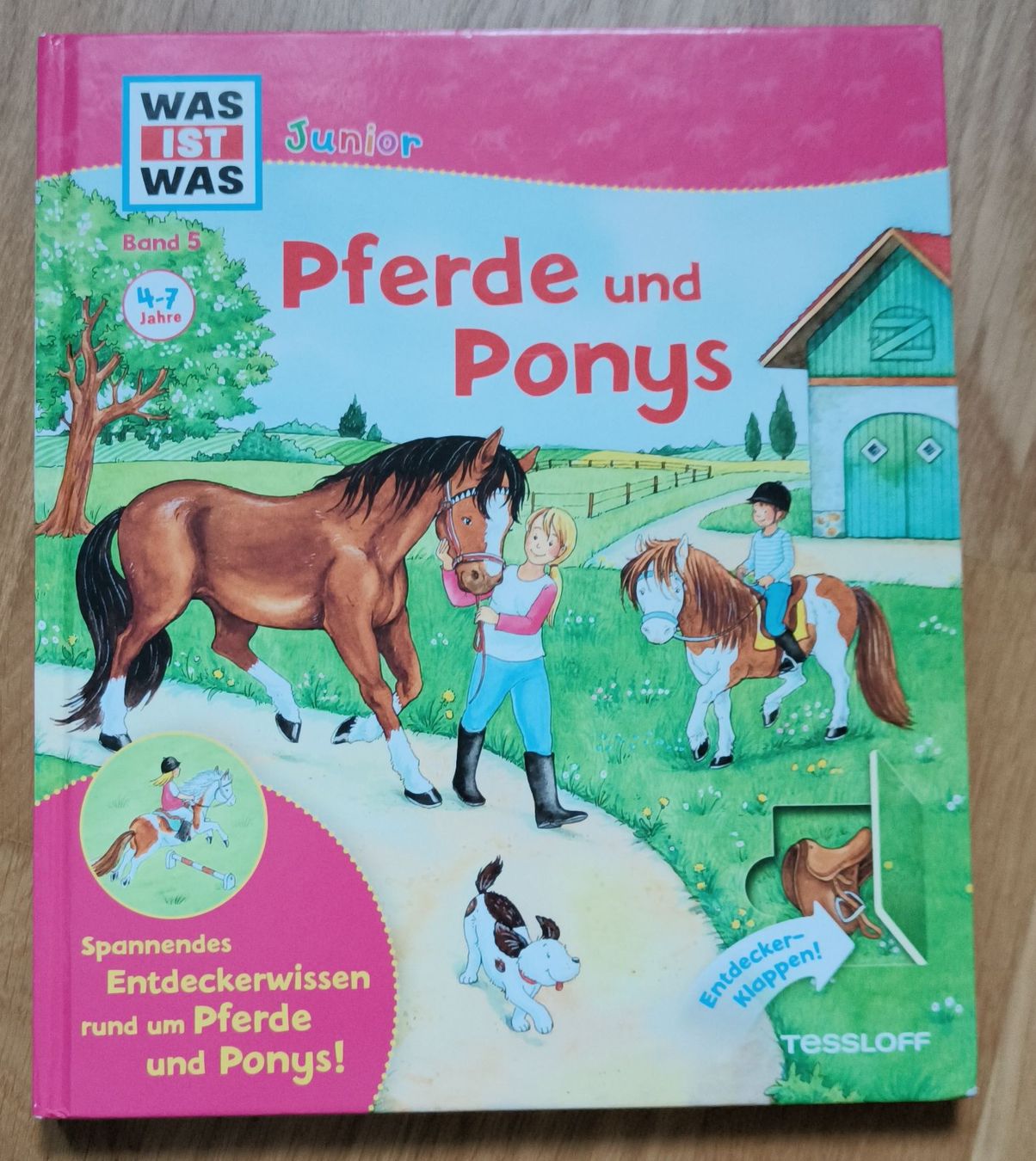 Libri: Was ist Was Junior: Pferde und Ponys – Usato da Dietlikon venduto da Dietlikon_Verkauf