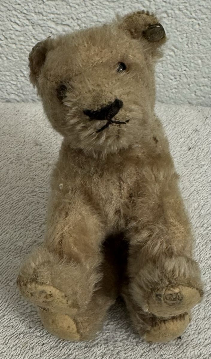 Steiff Giocattoli: Steiff Teddy – Usato da Binningen venduto da kal_5nsj