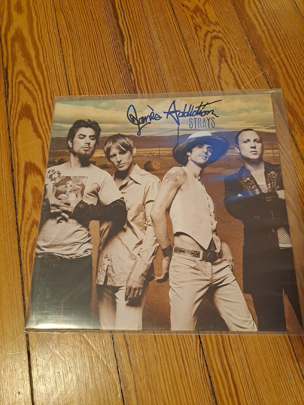 Dischi in vinile: Jane's Addiction, Strays 1LP – Usato da Genève venduto da Marci-Mcfly