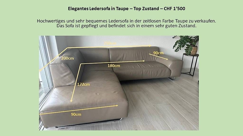 Pfister Sofas: Zeitloses , bequemes Ledersofa in der Farbe Taupe – Gebraucht aus Langenthal von oli_9ydk 2