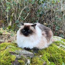 Profile image of DBODBO