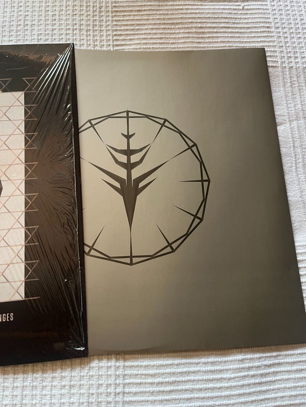 Schallplatten: Enigma - The Cross Of Changes Vinyl LP – Gebraucht aus Effretikon von ChrisLamberger 2