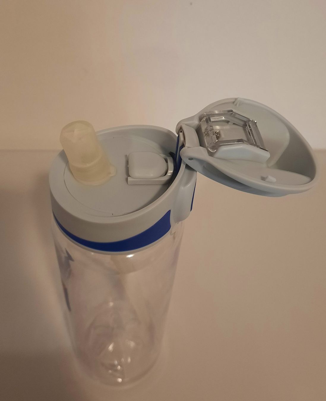 Sigg Borracce & Thermos: Trinkflasche Sigg ca.750 ml, neu – Nuovo (secondo la descrizione) da Zürich venduto da RE-USE-ZURZACH-Care 1