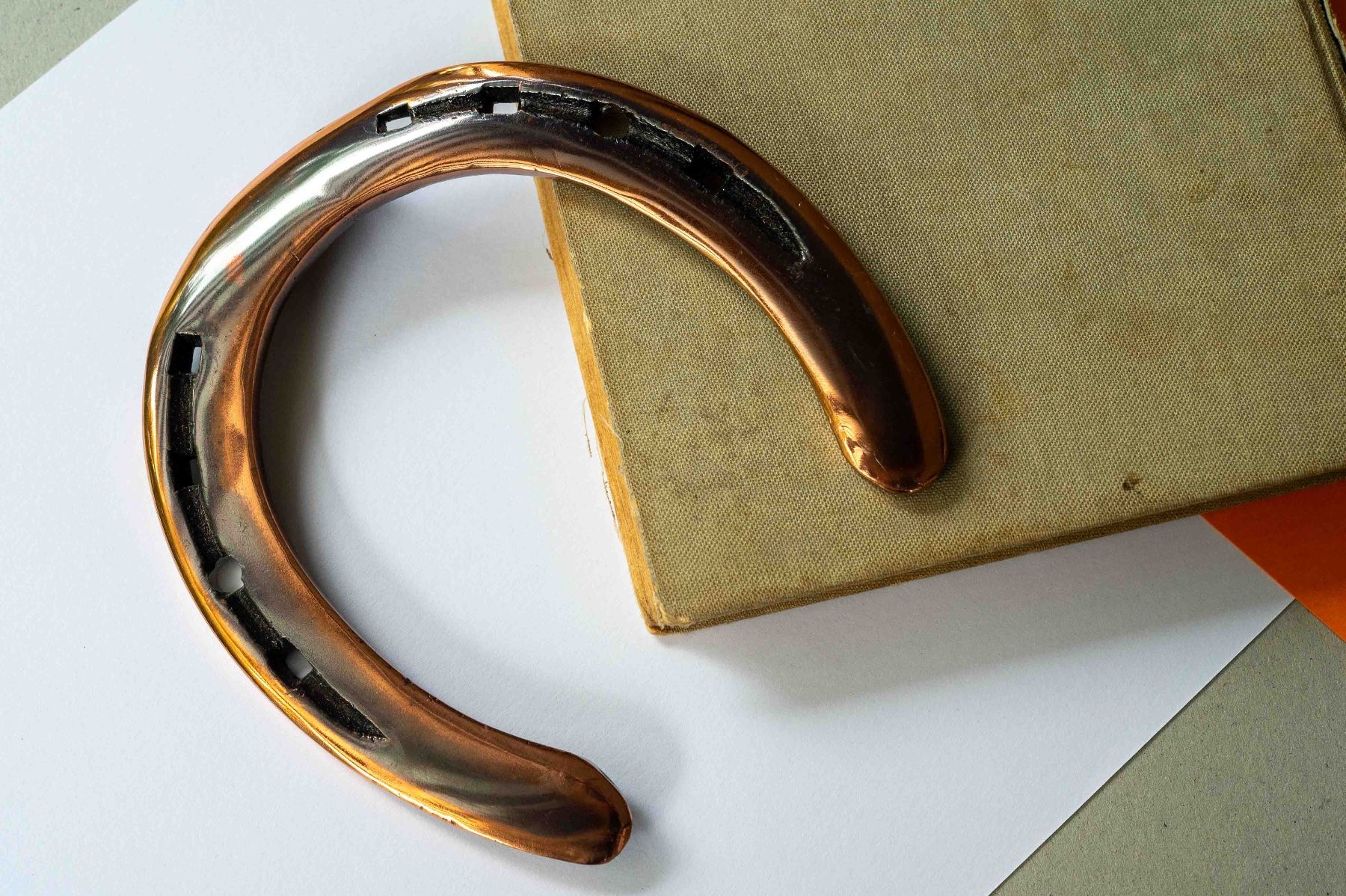Altro in Accessori per animali: Hufeisen in bronze galvanisch verchromt – Usato da Schwerzenbach venduto da floridan