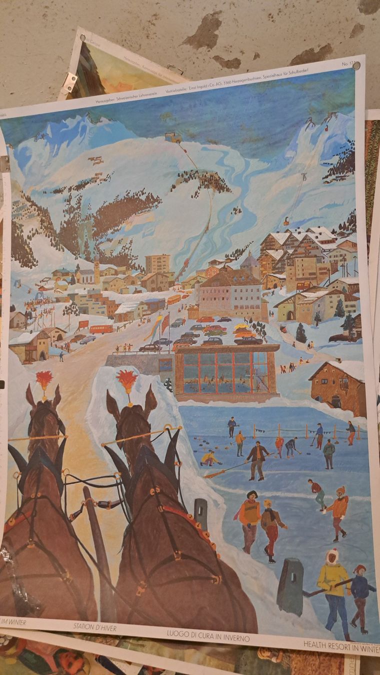 Poster & Bilder: Schulwandbilder – Gebraucht aus Flawil von Dodo68 3