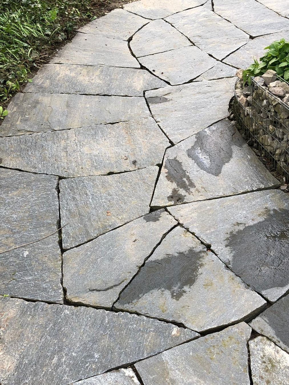 Pietre & tegole: Quarzit Polygonalplatten-Garten-Terrassenplatten 2-3cm/30m2 – Nuovo e nell'imballaggio originale da Olten venduto da jf7_gkj6 6