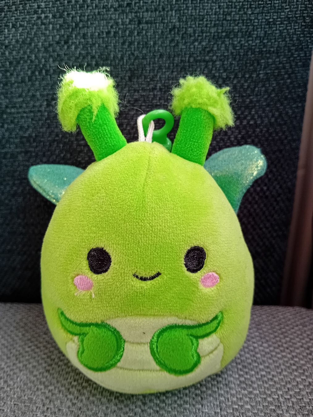Squishmallows Giocattoli: Squishmallows Anhänger Gottesanbeterin – Nuovo (secondo la descrizione) da Chur venduto da jk.84 1