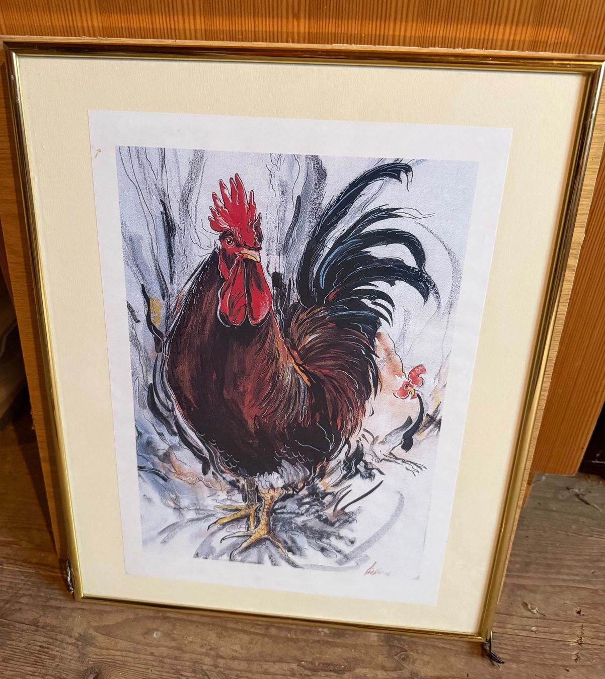 Foto & Immagini: Hühnerbild – Usato da Winden venduto da Pouletfarm