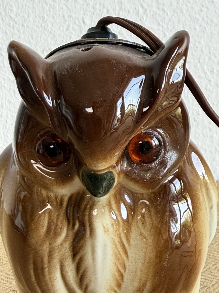 Lampade: ORIGINAL AEROZON Rauchverzehrer Lampe Eule Vintage – Usato da Konolfingen venduto da petzipetz 2