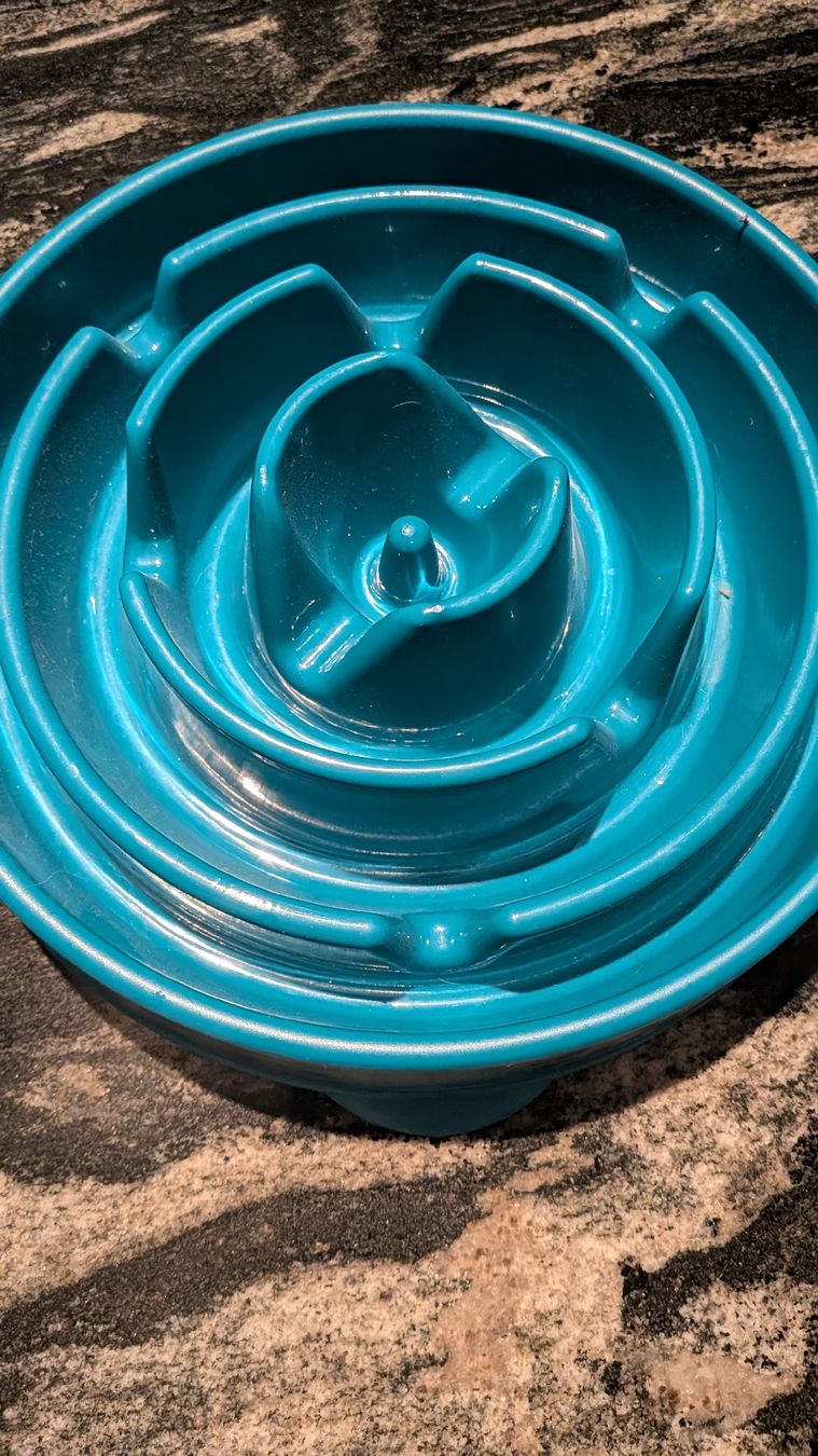 Futter: neuer Futter Napf  – Neu (gemäss Beschreibung) aus Wattenwil von karinschaw 2