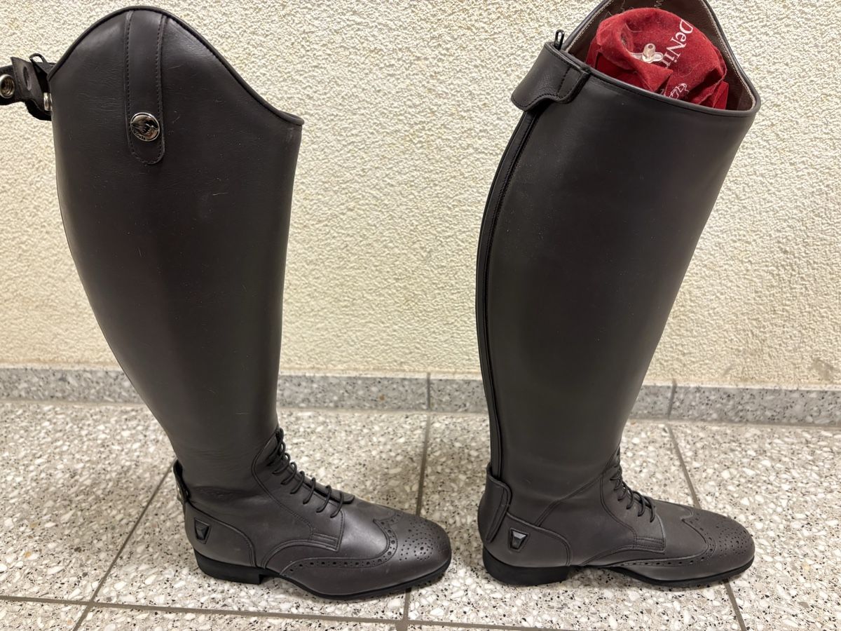 Damenschuhe: Celeris Reitstiefel – Neu (gemäss Beschreibung) aus Ballwil von cin_v2ym