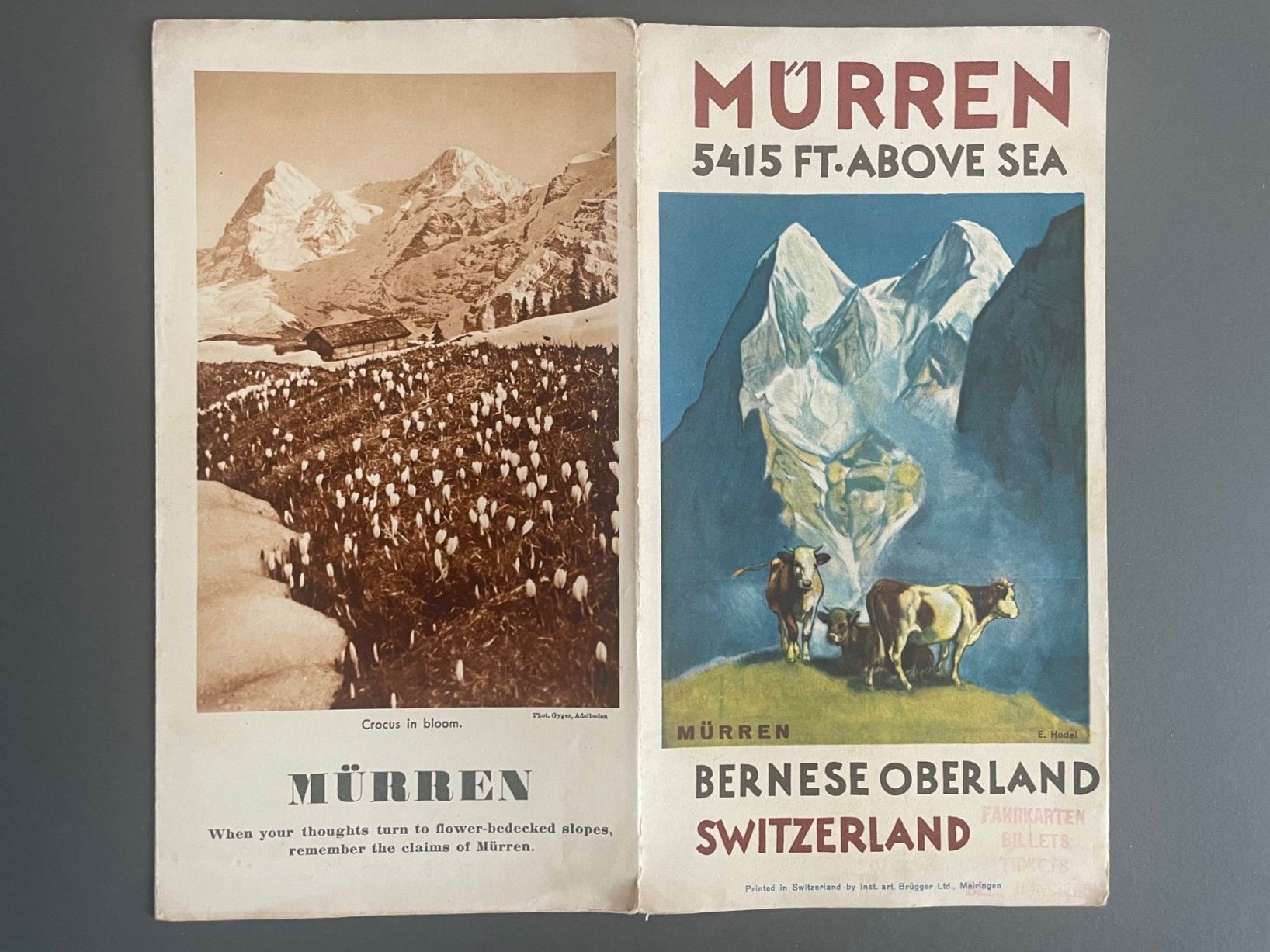 Dokumente: Mürren Berner Oberland – Gebraucht aus Luzern von oh_08