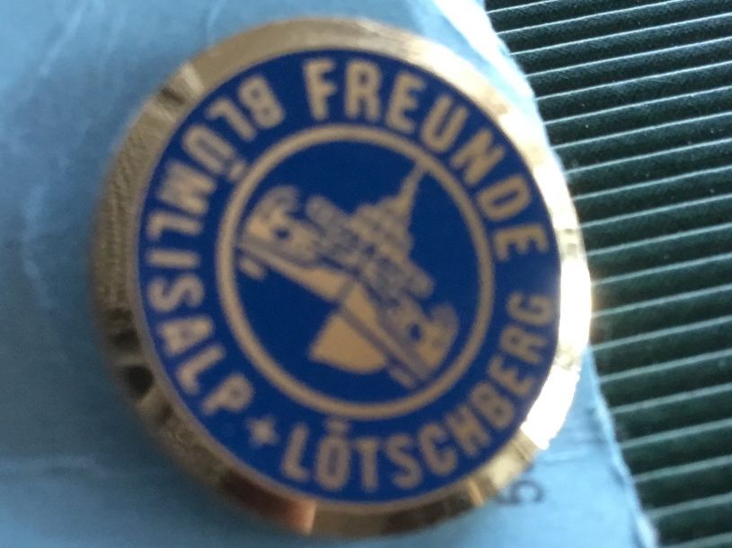 Placchette & Badge: Blümlisalp Lötschberg Pin  Thunersee – Nuovo (secondo la descrizione) da Thierachern venduto da sweden08