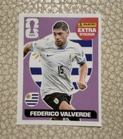 Valverde purple Panini