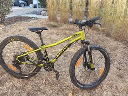 MTB Ghost Kato Pro 24